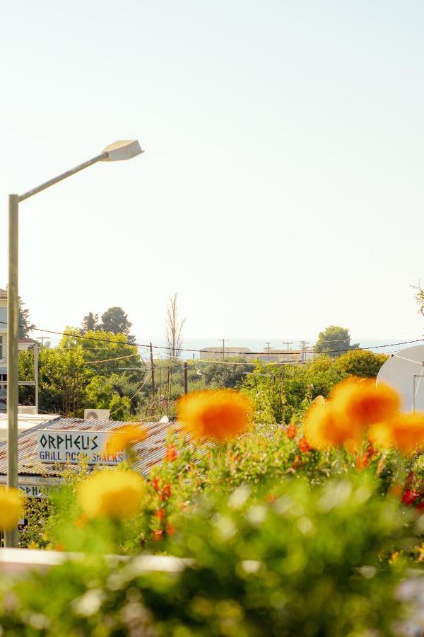 Armeria Corfu Apartament Acharavi (Corfu)